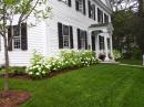 Typical New England : Hydrangeas in bloom
